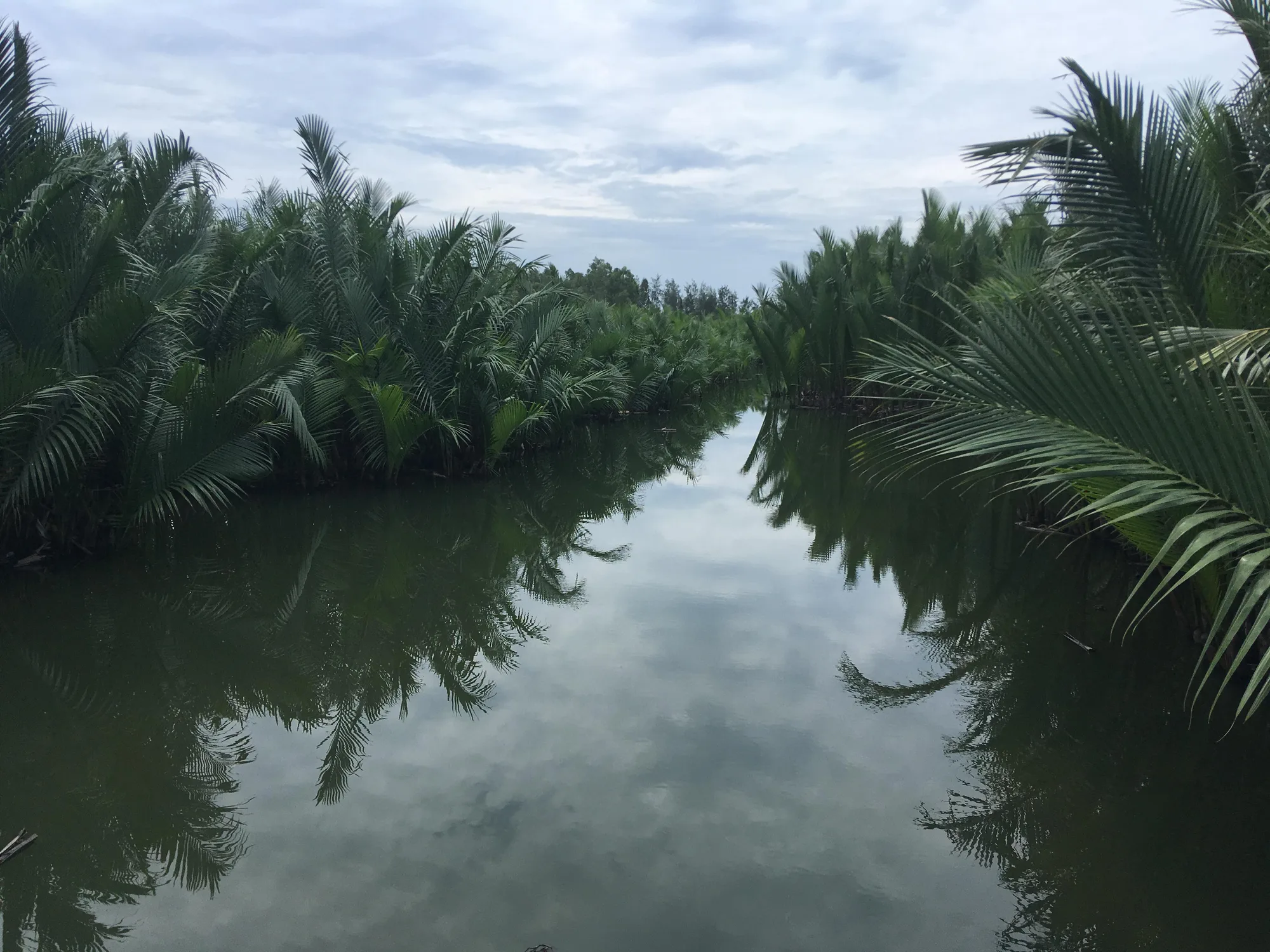 茶饒生態村與水椰林（Trà Nhiêu）主圖